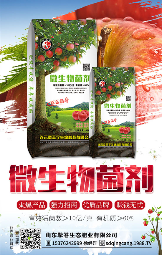 草莓發(fā)生肥害了怎么辦？如何避免？草莓肥害原因及補(bǔ)救措施！