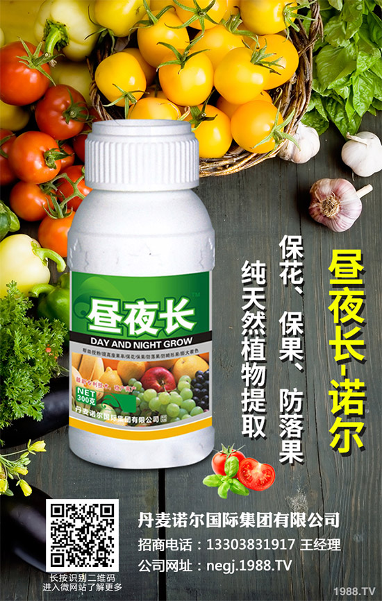 夏芹菜什么時(shí)候種植？該如何種植？夏芹菜高產(chǎn)種植技術(shù)
