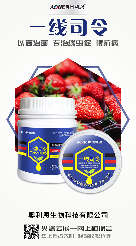 香瓜育苗期的水肥管理，香瓜施肥的注意事項！