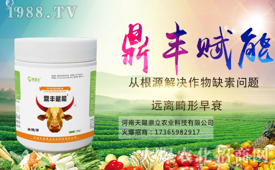 �r(n��ng)���W(w��ng)ϲӭ�»�����y�����n��������ؔ(c��i)��֮·��