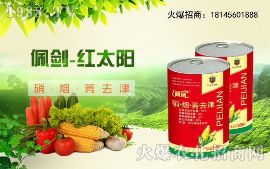 �������������t̫������ٺ�1988.TV���y�ֹ��A2020��