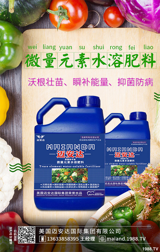 蒲公英育苗措施怎么做？蒲公英生長(zhǎng)特點(diǎn)及適宜環(huán)境！