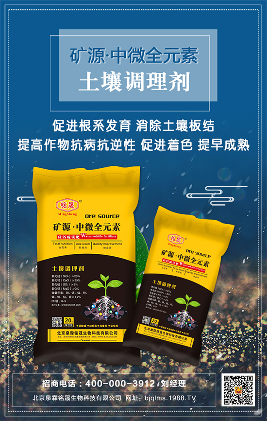 黑芝麻什么時(shí)間種植?黑芝麻栽培技術(shù)要點(diǎn)!