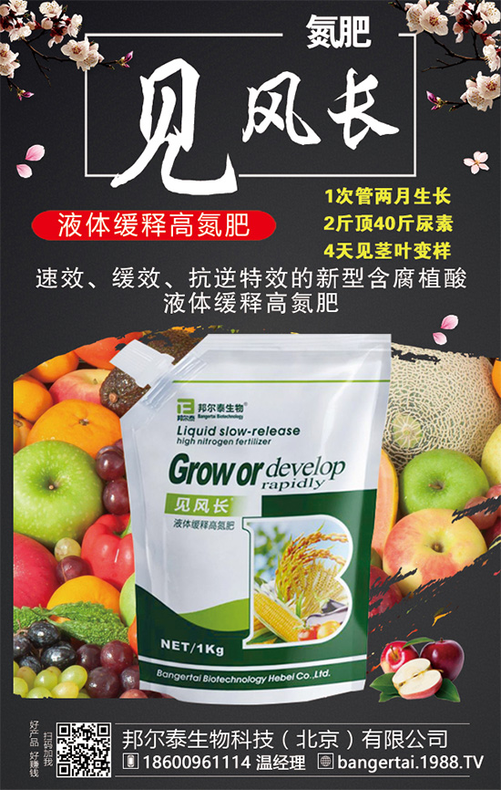 金錢(qián)草有哪些生長(zhǎng)習(xí)性？金錢(qián)草怎么種植？