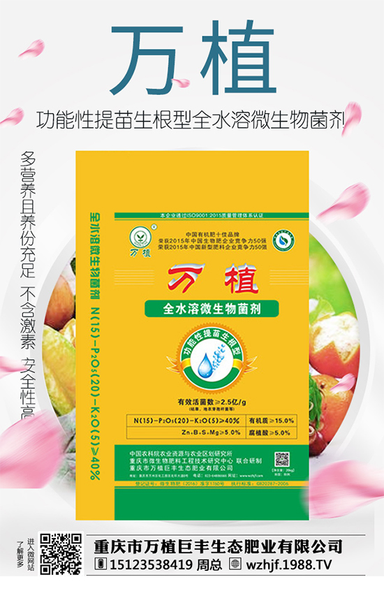     ��(zh��n)�Ժ���������(j��)���f(w��n)ֲ���S�y��1988.TV�ل�(chu��ng)�x����