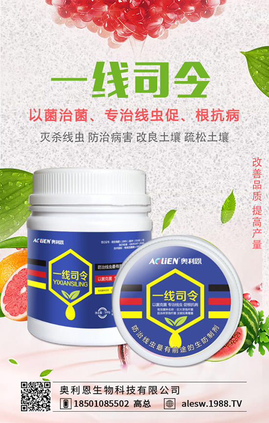 金錢草怎么養(yǎng)？金錢草養(yǎng)殖方法有哪些？