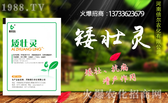 ���ϱ����m(x��)�s1988.TV���y�ֹ���(chu��ng)���x����