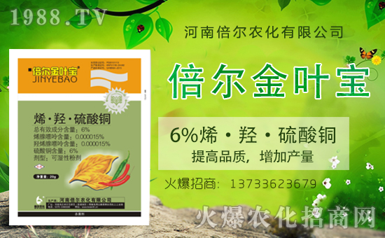 ���ϱ����m(x��)�s1988.TV���y�ֹ���(chu��ng)���x����