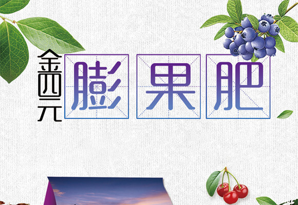 硫酸鉀型復(fù)合肥料12-8-28-金四元膨果肥-中農(nóng)化_01