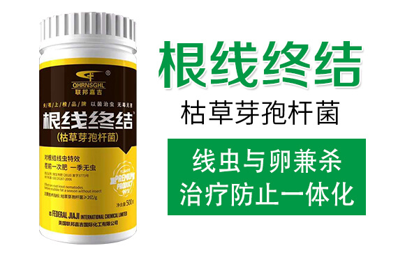 �ݲ�ѿ�ߗU��-�����K�Y-(li��n)��μ�_02