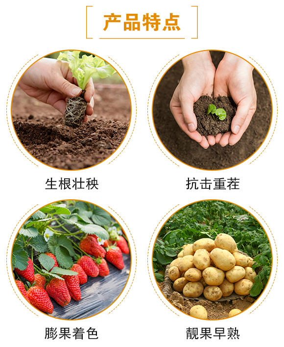 ������(d��o)��-(li��n)��μ�_06