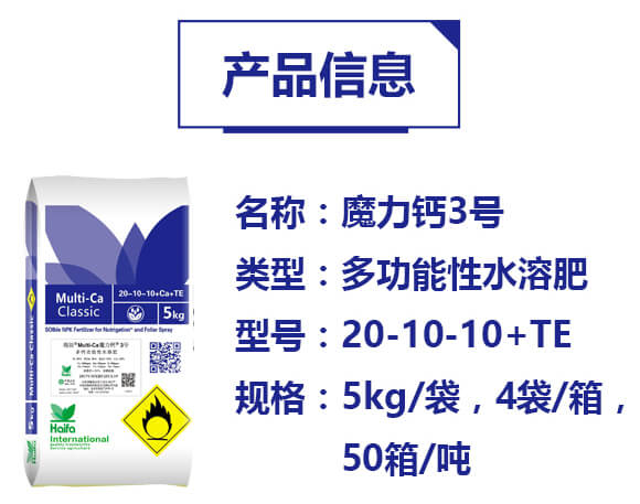 多功能性水溶肥20-10-10+TE-魔力鈣3號-海法科貿(mào)_02
