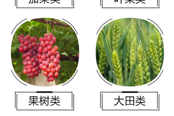 礦源黃腐酸鉀-烏金999-黑色生態(tài)_07