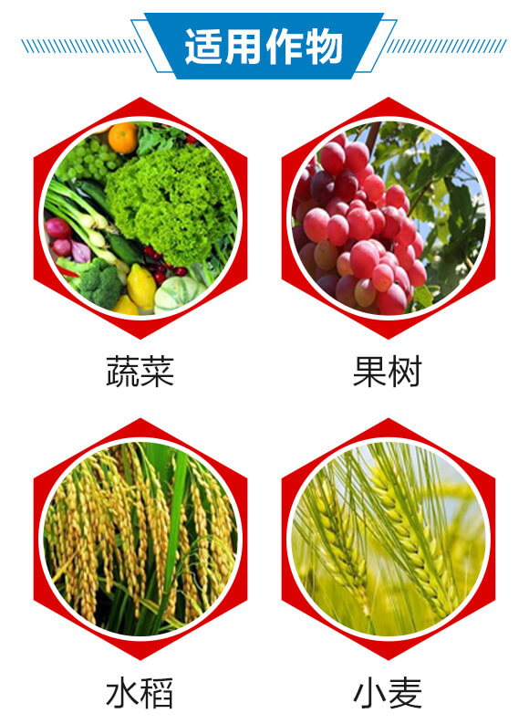 6%聯(lián)菊·啶蟲脒-耕田人-潤(rùn)倍生物_04