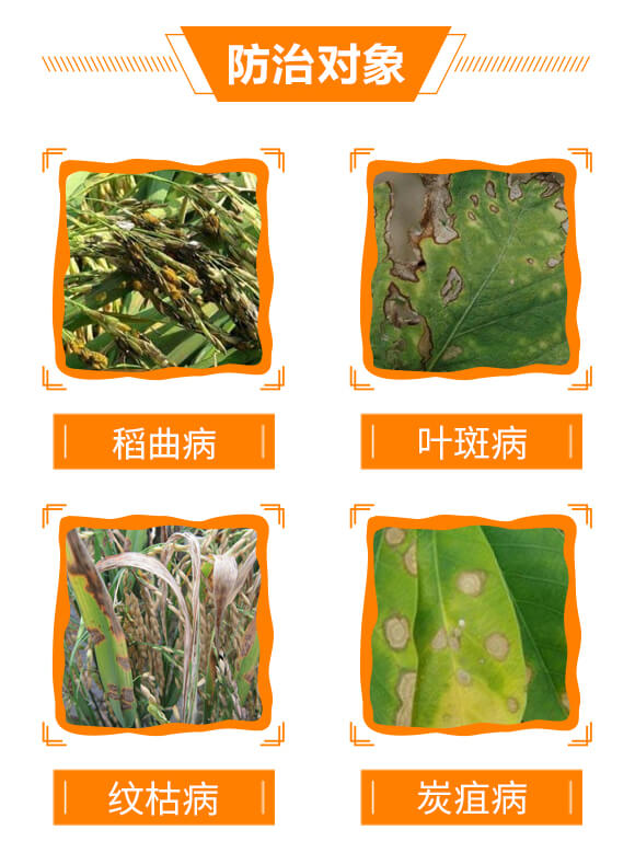 10%己唑醇-斑星杰-生農(nóng)世澤_05