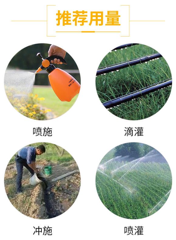 硅谷氨基酸型大量元素水溶肥料15-5-35+TE-沃森特_04