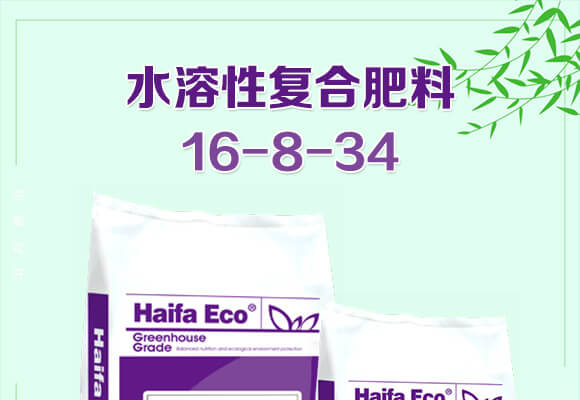 ˮ���ԏͺϷ���16-8-34-�����S-����_01