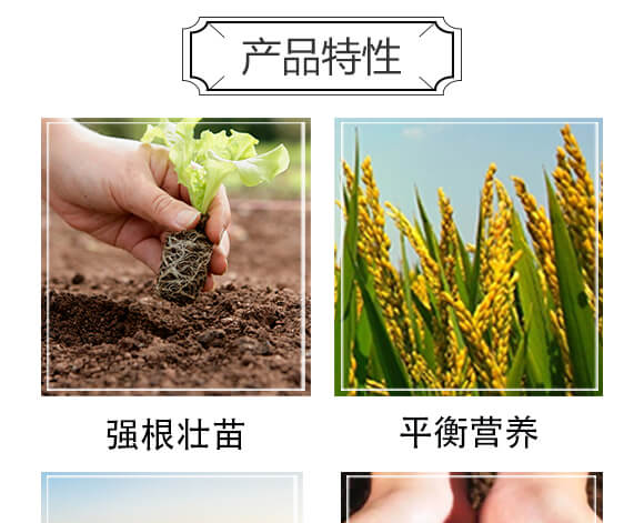 微生物菌劑-農(nóng)佳一_06