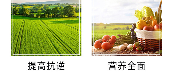 黃腐酸中微有機肥料-小黑力-農(nóng)佳一_07