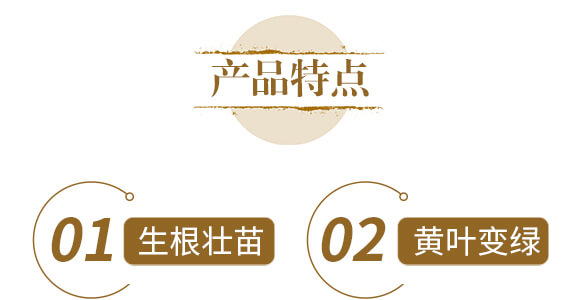 中藥材營養(yǎng)快補(bǔ)-含腐植酸水溶肥-北美農(nóng)大_05