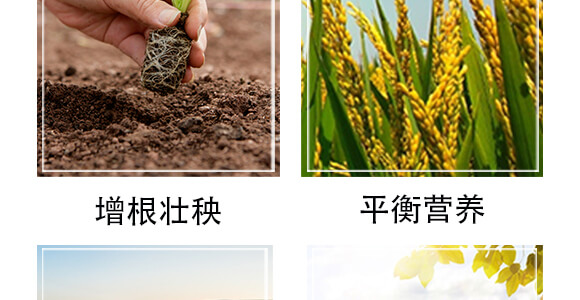 黃腐酸中微有機肥料-小黑力-農(nóng)佳一_06