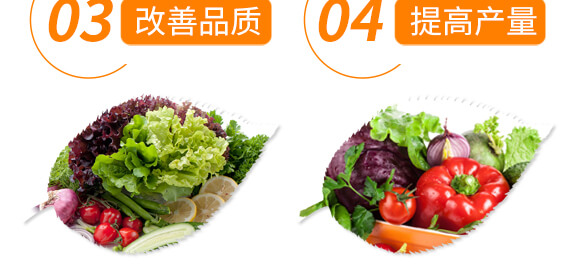 番茄專用紅滿架-麗美澤-中農(nóng)恒大_07