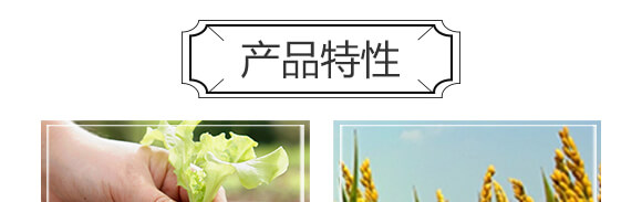 黃腐酸中微有機肥料-小黑力-農(nóng)佳一_05