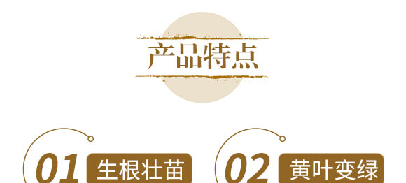 中藥材三七當歸專用-含腐植酸水溶肥-北美農(nóng)大_05