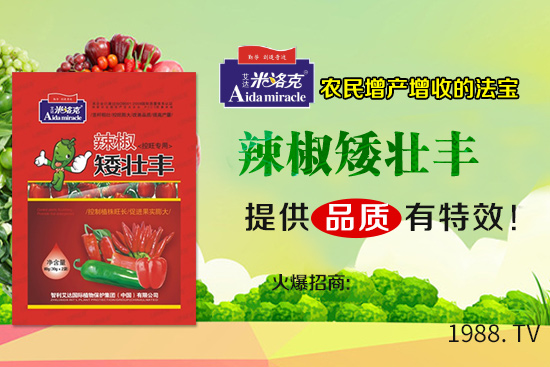 �����~�Ӿ�����ʲôԭ��?q��)��£������~�Ӿ������δ�ʩ!