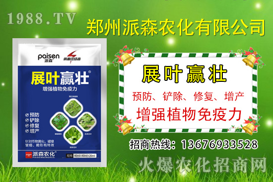 韭菜什么時(shí)候播種？韭菜市場(chǎng)前景如何？（種植成本及利潤(rùn)分析）