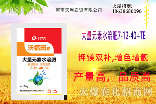 ��피t��ô�B(y��ng)����피t���B(y��ng)ֳ������ע����헣�