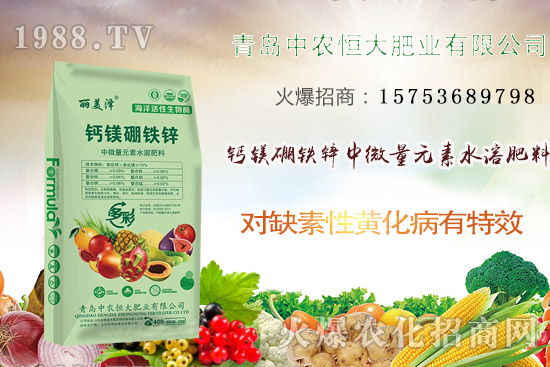 韭菜什么時候播種？韭菜市場前景如何？（附種植成本及利潤分析）