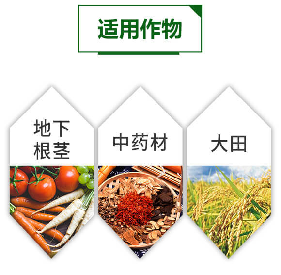 �����ЙC�|(zh��)�����-Û�M��-���~����_05