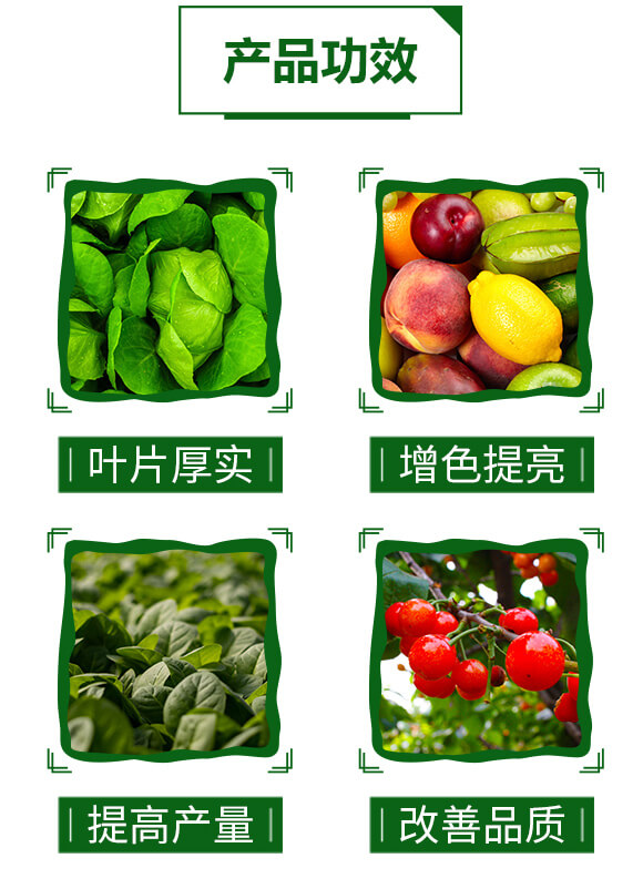 超能有機質(zhì)膨果素-鋪滿天-天葉生物_04