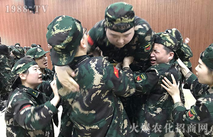 ���ĸ�����Ӗ(x��n)�����_�����t������