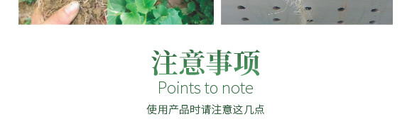 農(nóng)夫稼園生物技術(shù)有限公司2_14