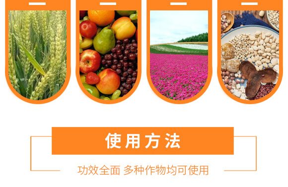 農(nóng)夫稼園生物技術(shù)有限公司1_13