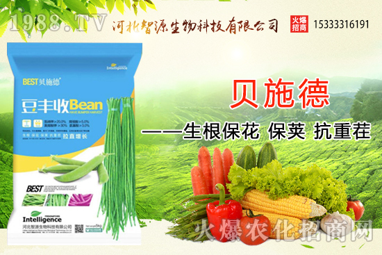 �ӱ���Դ�ٶȔy��1988.TV���y�ֹ���(chu��ng)��(zh��n)����