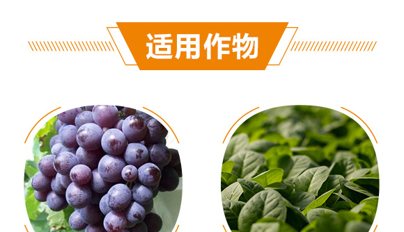 含腐植酸水溶肥料-達(dá)富達(dá)貴-中微_08