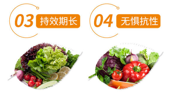 蟲(chóng)螨腈+虱螨脲-永佳雙槍-永佳之星_09