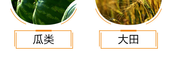 含腐植酸水溶肥料-達(dá)富達(dá)貴-中微_10