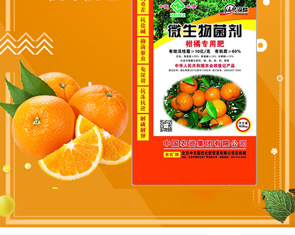 ���ٌ���΢�������-���r_02