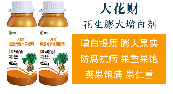 花生促花下針?lè)骤緞?大花財(cái)-綠仕生物_04