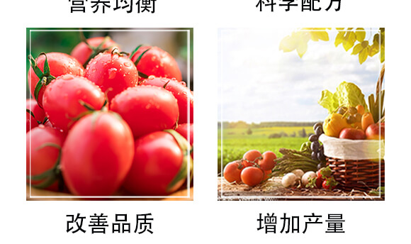 生物有機(jī)肥（紅）-豐農(nóng)_05