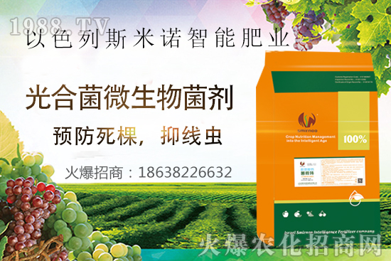 根結(jié)線蟲危害大,太難防?“菌微特”來幫忙!抑制線蟲和蟲卵,干凈!