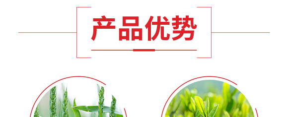 硫酸鉀型復合肥料25-14-6-鄂陽_06