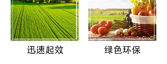 白粉型抑菌劑-粉無蹤-碩達_08