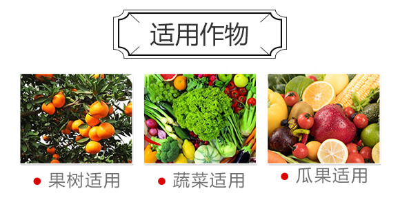 益生菌腐熟發(fā)酵大豆-美高_04