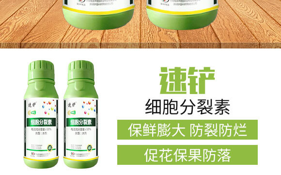 細胞分裂素-國豐健園_03