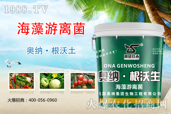 【河北奧納】新品來(lái)襲,生根、膨果,給作物注入營(yíng)養(yǎng)新方案!